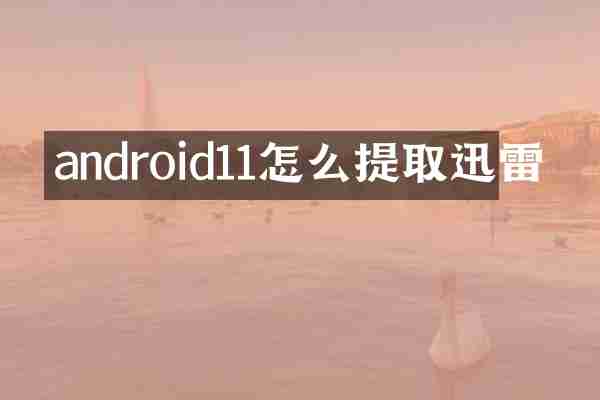 android11怎么提取迅雷