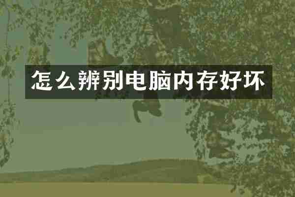 怎么辨别电脑内存好坏