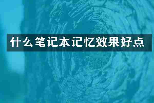 什么笔记本记忆效果好点