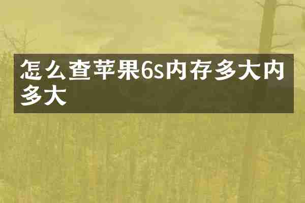 怎么查苹果6s内存多大内存多大