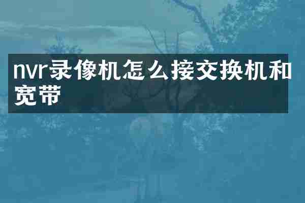 nvr录像机怎么接交换机和宽带