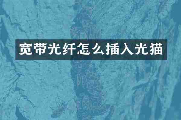 宽带光纤怎么插入光猫