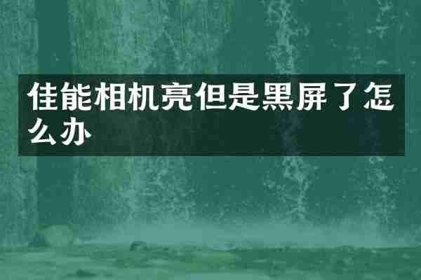 佳能相机亮但是黑屏了怎么办