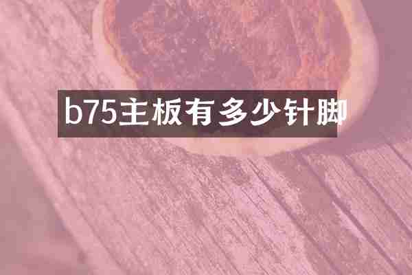 b75主板有多少针脚