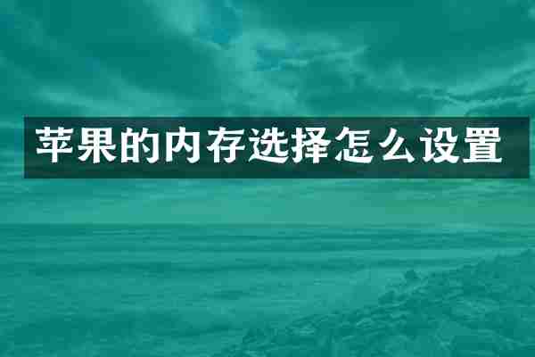 苹果的内存选择怎么设置