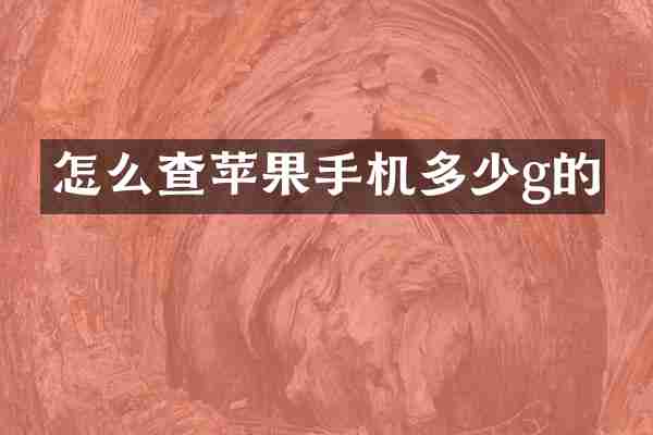 怎么查苹果手机多少g的