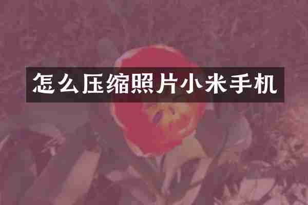 怎么压缩照片小米手机