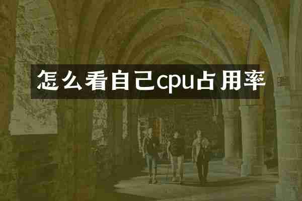 怎么看自己cpu占用率