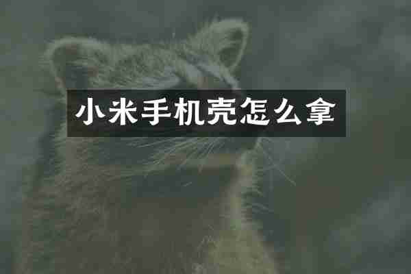 小米手机壳怎么拿