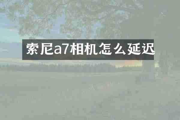 索尼a7相机怎么延迟
