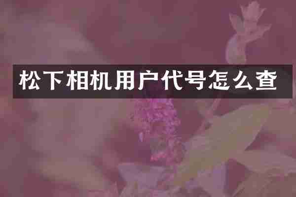 松下相机用户代号怎么查