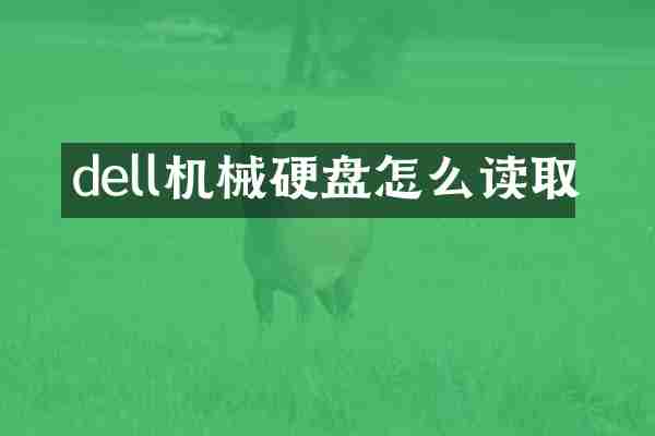dell机械硬盘怎么读取