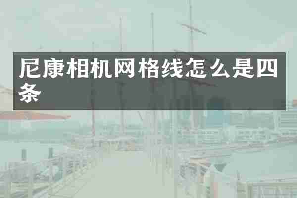 尼康相机网格线怎么是四条