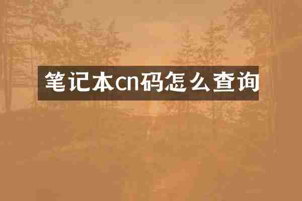 笔记本cn码怎么查询