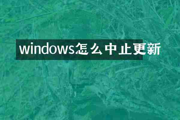 windows怎么中止更新