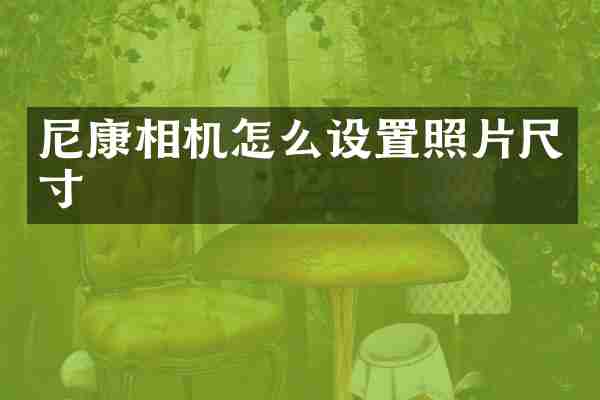 尼康相机怎么设置照片尺寸