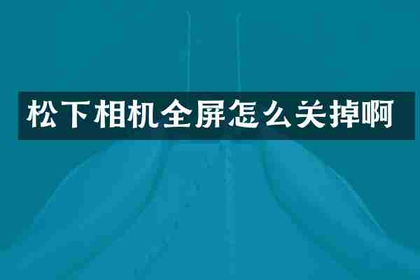 松下相机全屏怎么关掉啊