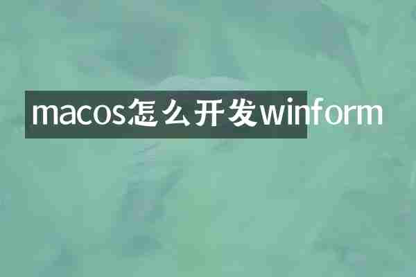 macos怎么开发winform