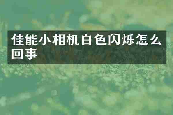 佳能小相机白色闪烁怎么回事