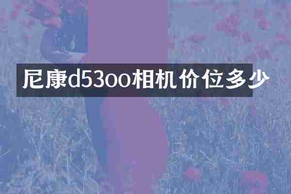 尼康d53oo相机价位多少