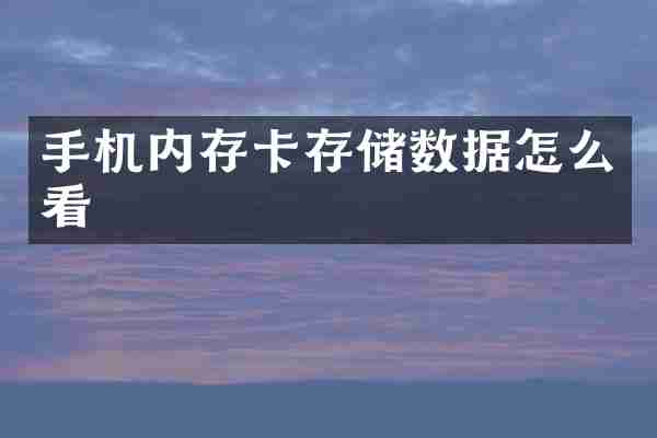 手机内存卡存储数据怎么看