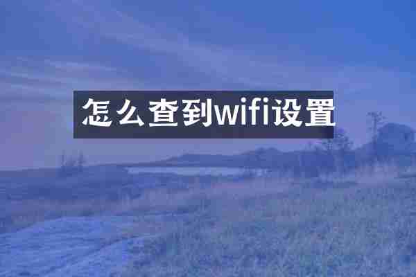 怎么查到wifi设置