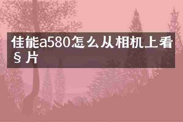 佳能a580怎么从相机上看照片