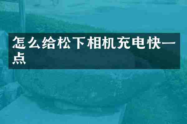 怎么给松下相机充电快一点
