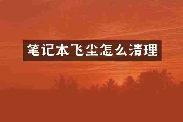 笔记本飞尘怎么清理