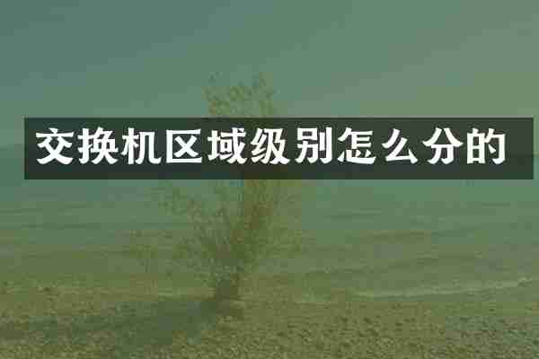 交换机区域级别怎么分的