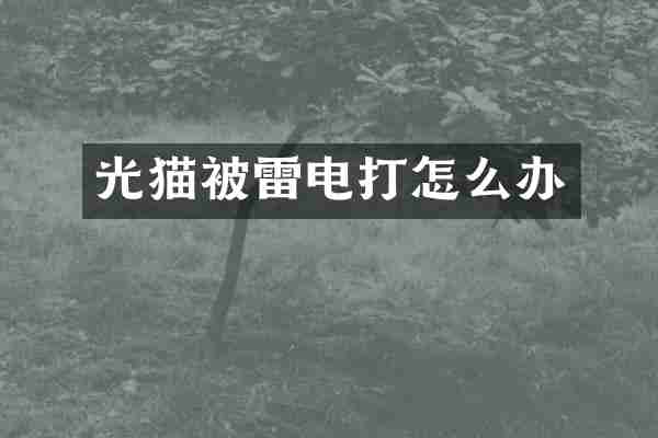 光猫被雷电打怎么办