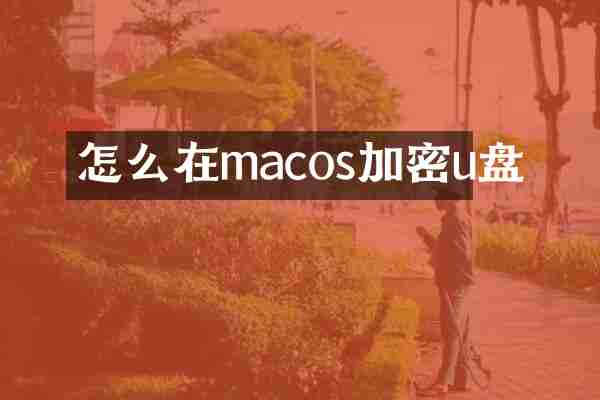 怎么在macos加密u盘