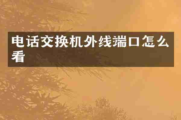 电话交换机外线端口怎么看