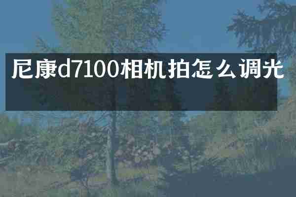 尼康d7100相机拍怎么调光圈