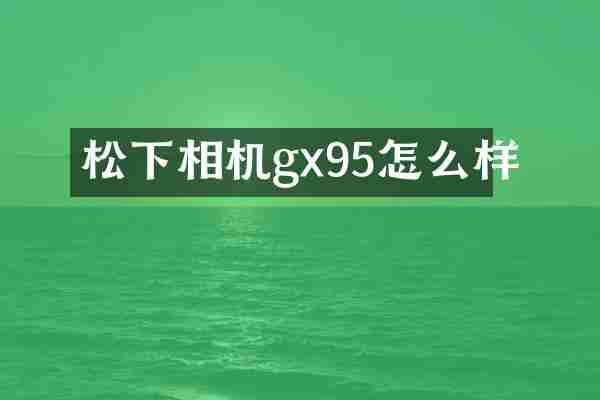 松下相机gx95怎么样