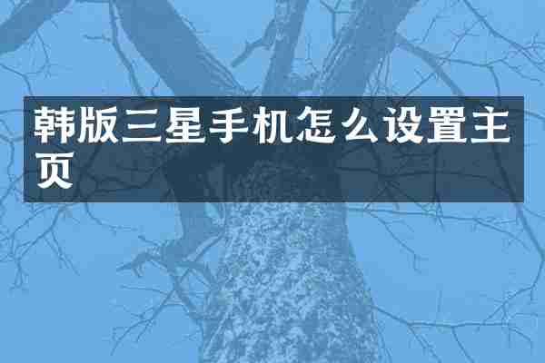 韩版三星手机怎么设置主页