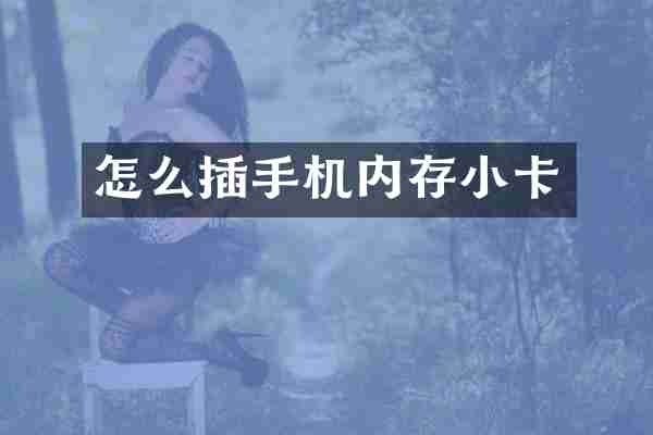 怎么插手机内存小卡