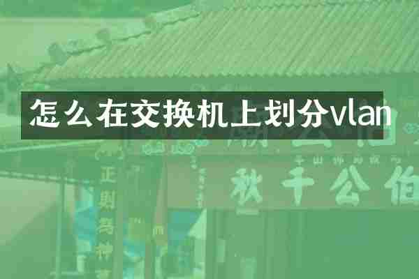 怎么在交换机上划分vlan