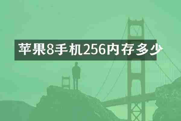 苹果8手机256内存多少