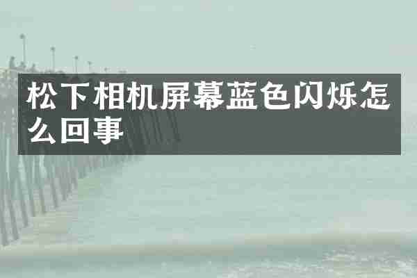 松下相机屏幕蓝色闪烁怎么回事