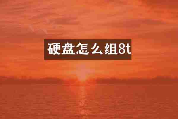 硬盘怎么组8t
