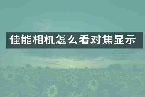 佳能相机怎么看对焦显示
