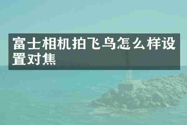 富士相机拍飞鸟怎么样设置对焦