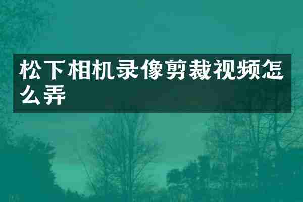 松下相机录像剪裁视频怎么弄