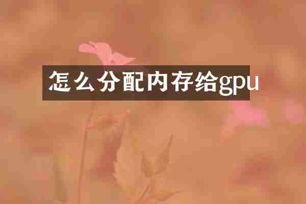 怎么分配内存给gpu