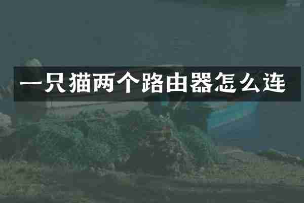 一只猫两个路由器怎么连