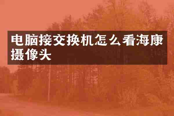 电脑接交换机怎么看海康摄像头