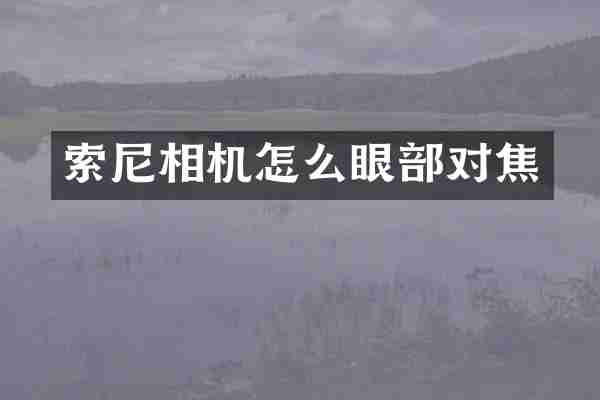 索尼相机怎么眼部对焦