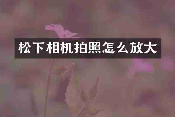 松下相机拍照怎么放大