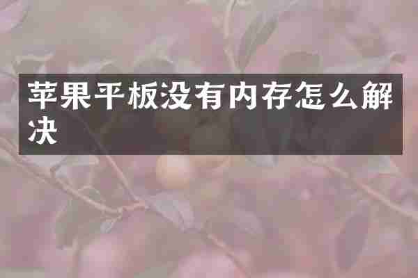 苹果平板没有内存怎么解决